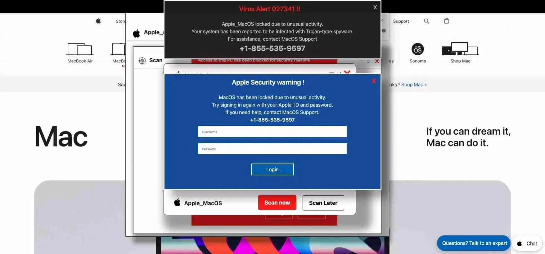 Kittl: 7 Lý Do Công Cụ Này Vượt Trội Hơn Adobe Illustrator?