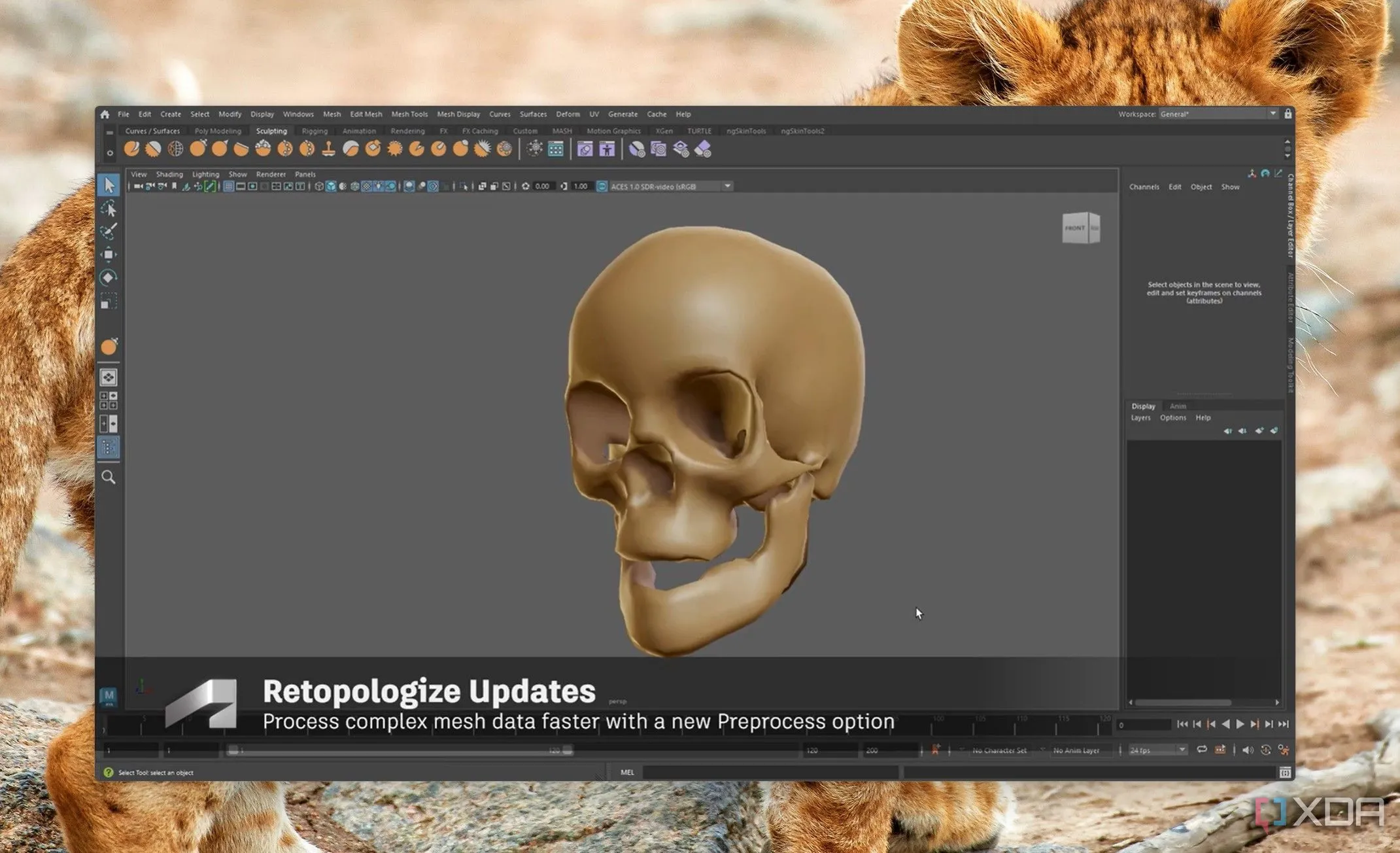 Điêu khắc mô hình hộp sọ 3D chuyên nghiệp trong phần mềm Autodesk Maya