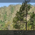 Giao diện phát video của Plex trên trình duyệt, thiếu tùy chọn điều chỉnh tốc độ.