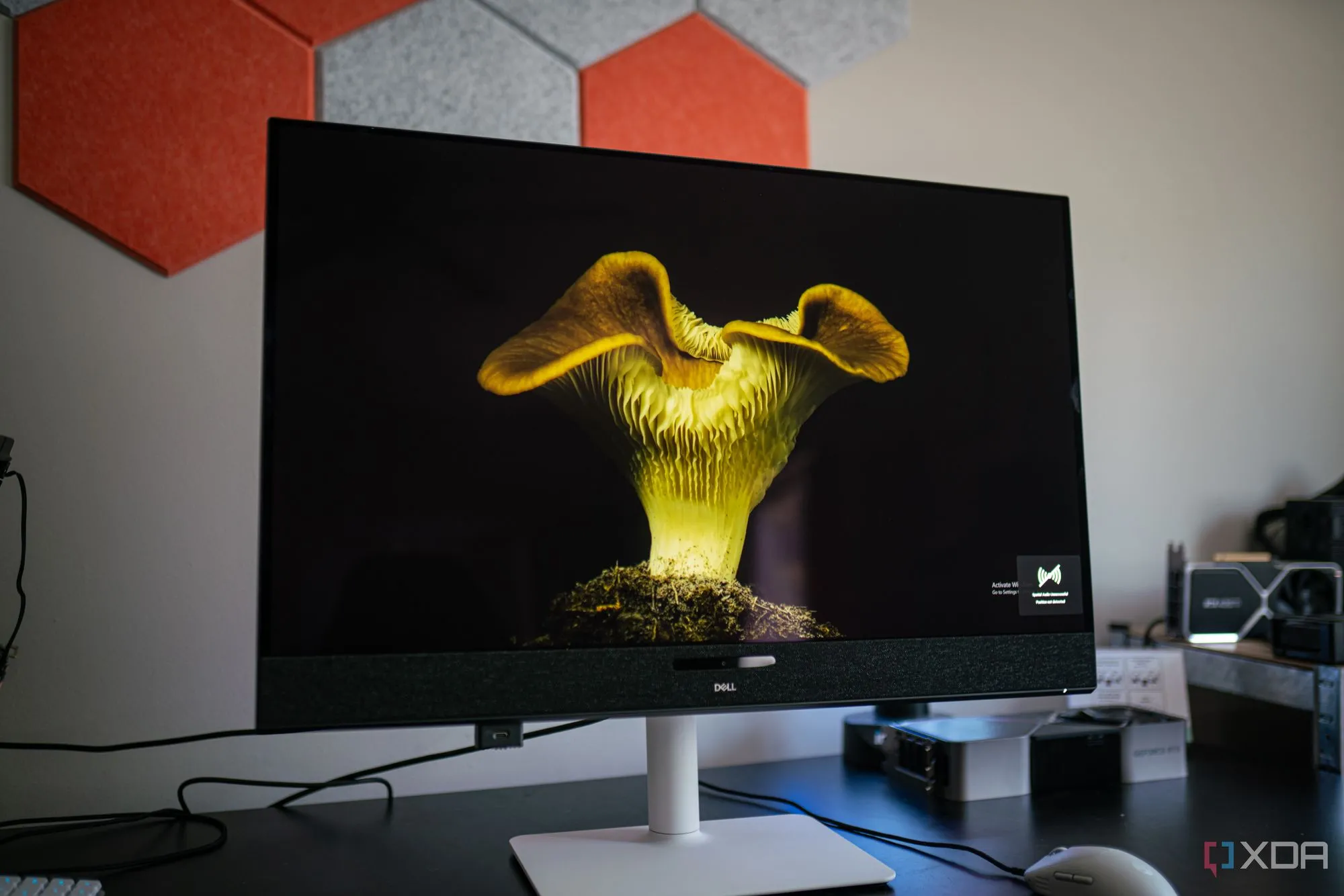 Hiển thị màu sắc sống động trên tấm nền QD-OLED của Dell 32 Plus