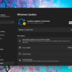 Màn hình Windows Update trong Cài đặt Windows 11 hiển thị trạng thái cập nhật