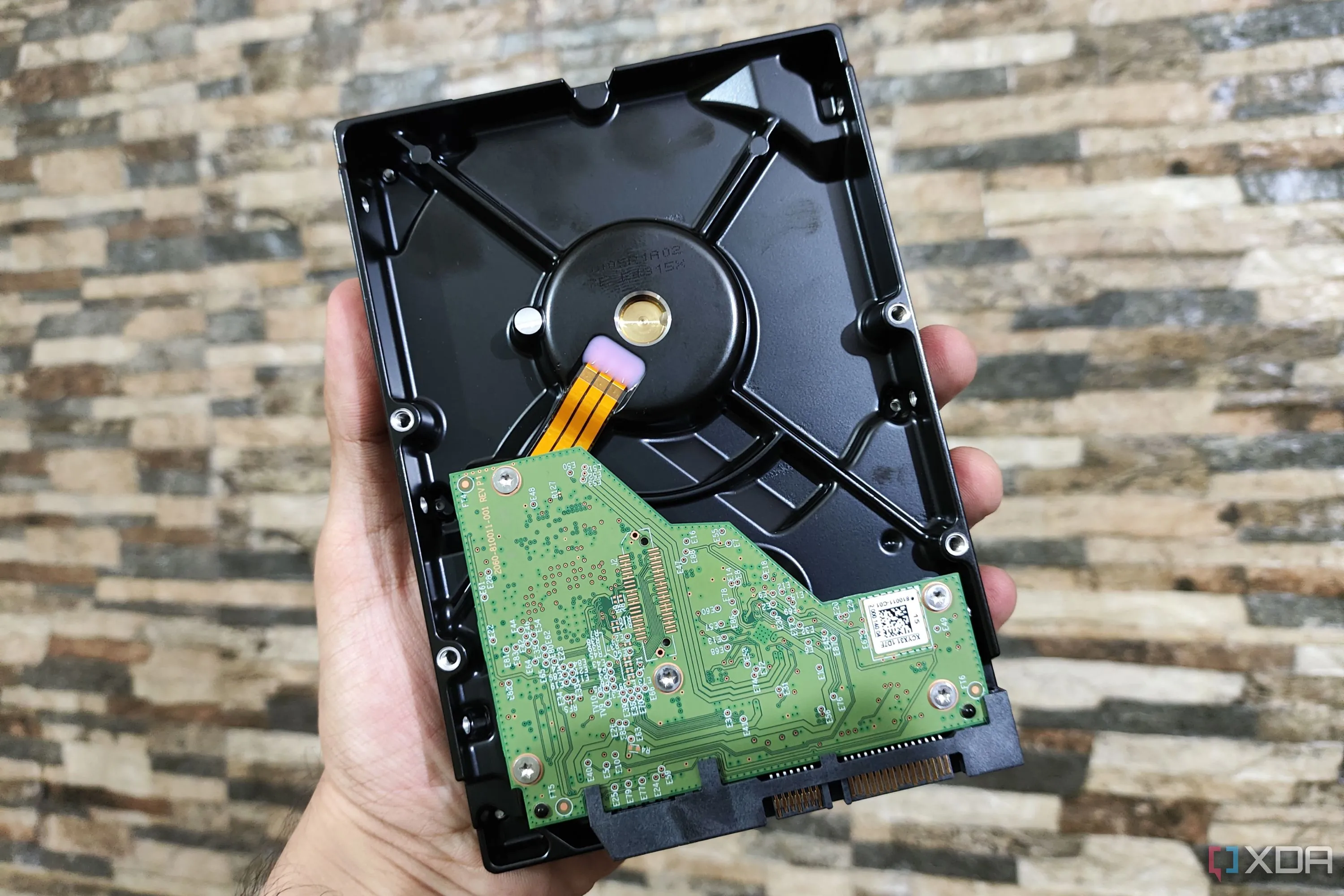 Một người dùng cầm ổ cứng Western Digital WD Blue 8TB, minh họa kích thước và khả năng cầm nắm