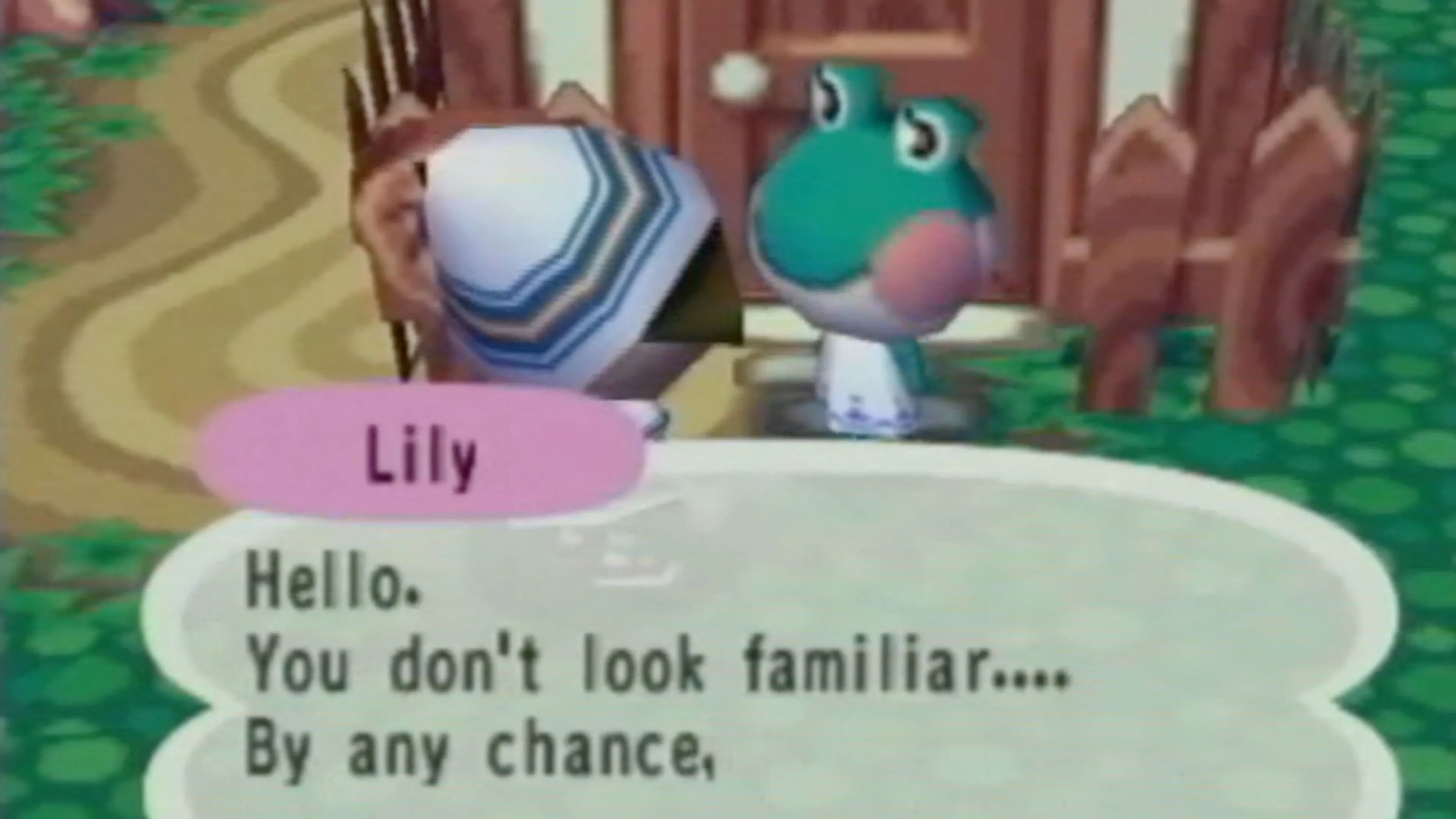Nhân vật chính đang trò chuyện với Lily, chú ếch trong Animal Crossing