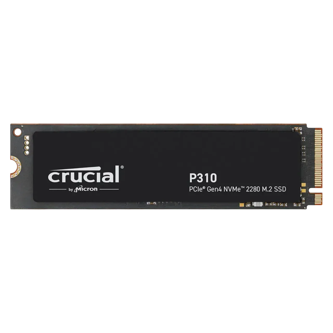 Nvidia GeForce RTX 5060 Ti: Giá Dự Kiến Bất Ngờ Chỉ Từ 399 USD, Liệu Có Ổn Định Thị Trường GPU?