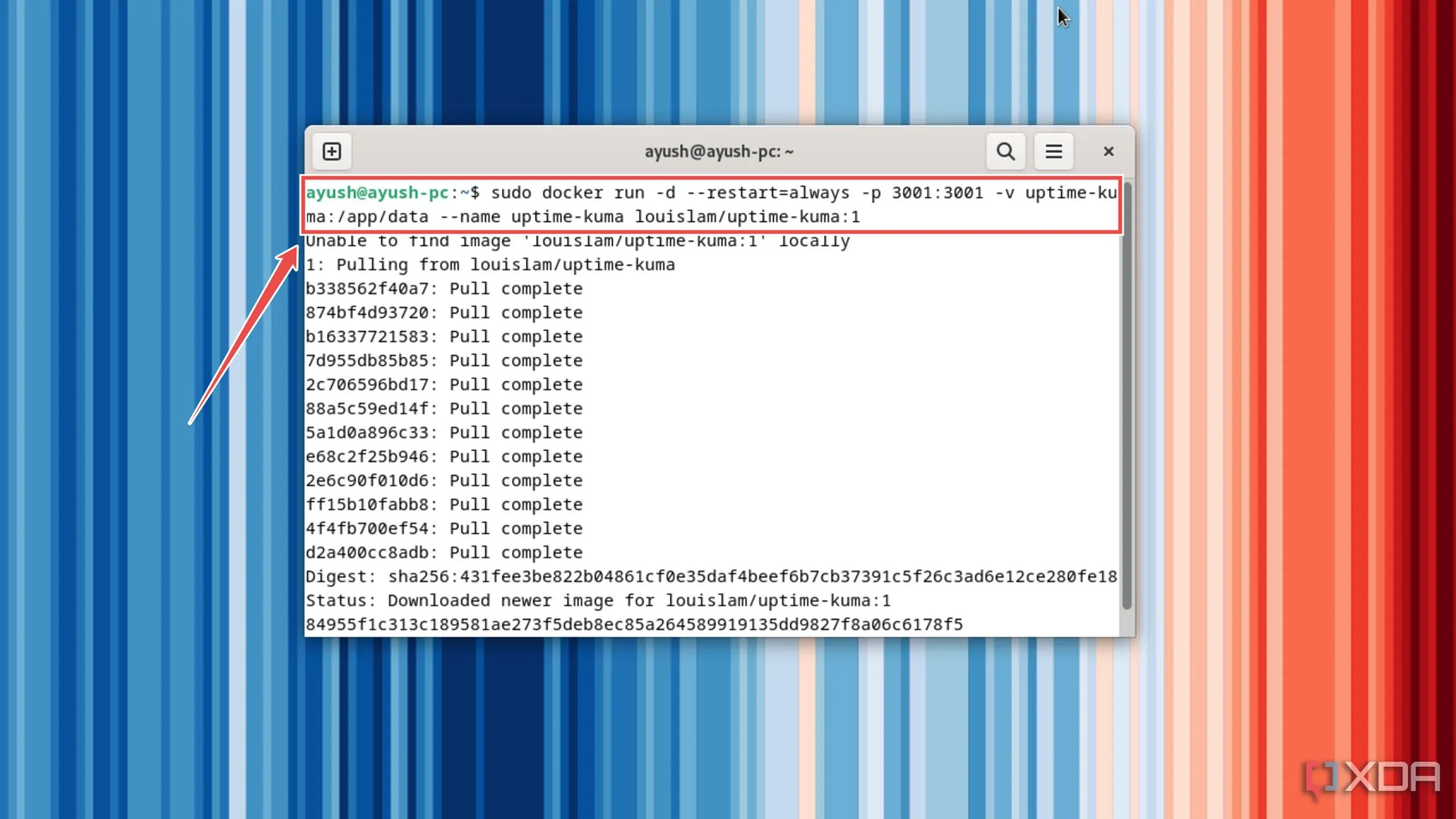 Thực thi lệnh Docker để triển khai máy chủ giám sát Uptime Kuma